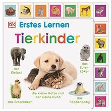 Erstes lernen tierkinder - erstes,