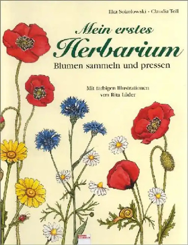 Mein erstes herbarium - erstes,