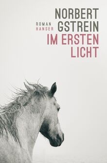 Ersten licht roman von - ersten,