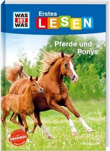Was ist erstes - was,