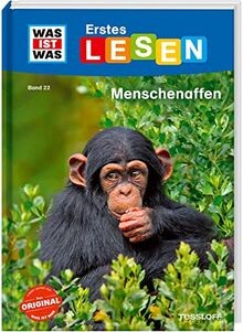 Was ist - ist, band