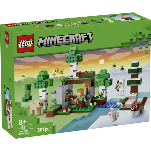 21593 lego minecraft erstes - 21593,