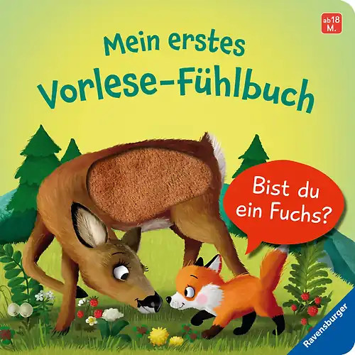 Mein erstes vorlese fühlbuch - mein, vorlese-fühlbuch