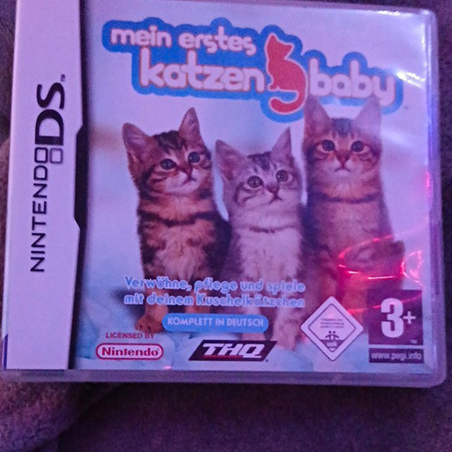 Mein erstes katzenbaby für - erstes,